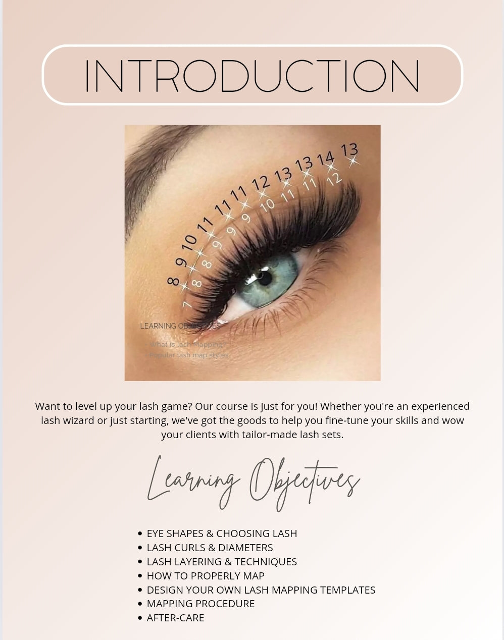 Lash Mapping E-book