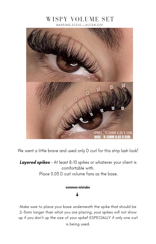 Lash Styling E-book